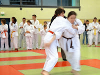 judo-adapte-coupe67-695.JPG