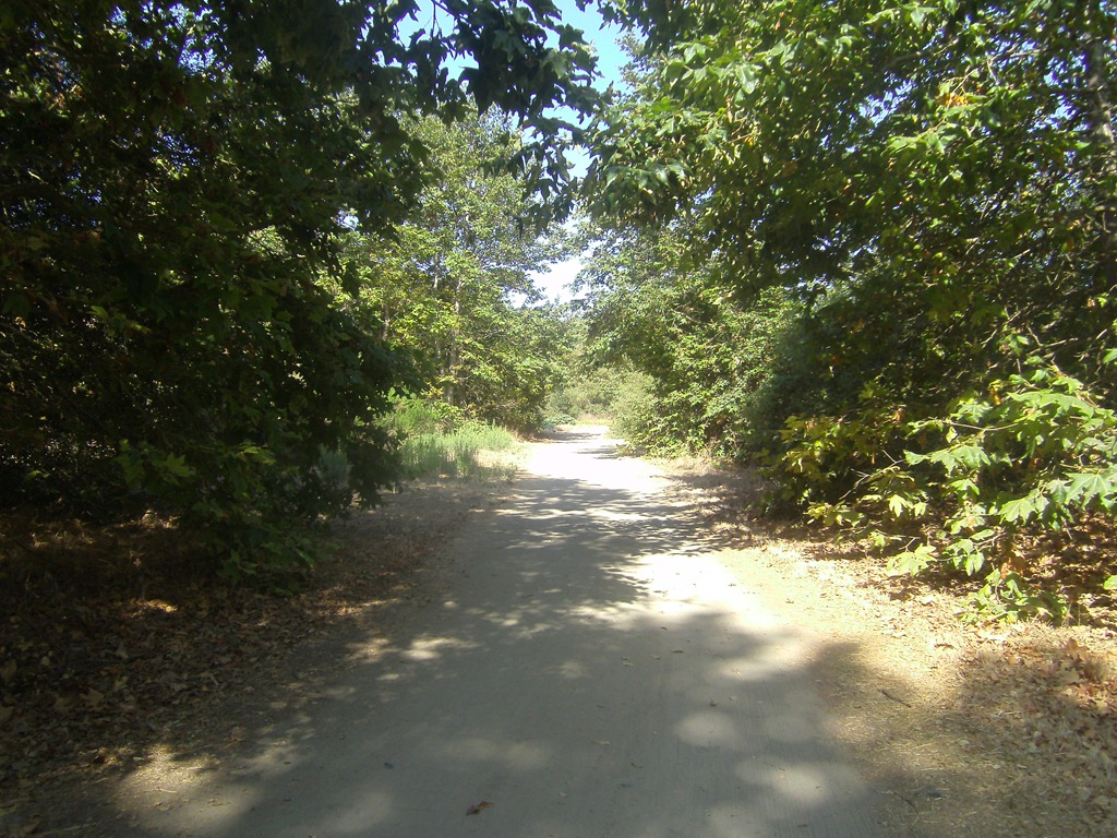 [SANY21184.jpg]