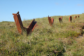 DSC_0481.JPG