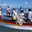 rodrigues_06.jpg