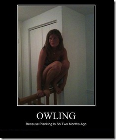 owling