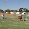 superleite2011_dia1507_101.JPG