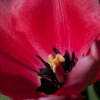 DSC_0649.jpg
