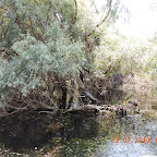 DSCN3048.JPG