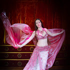 Document Name_3_164.JPG