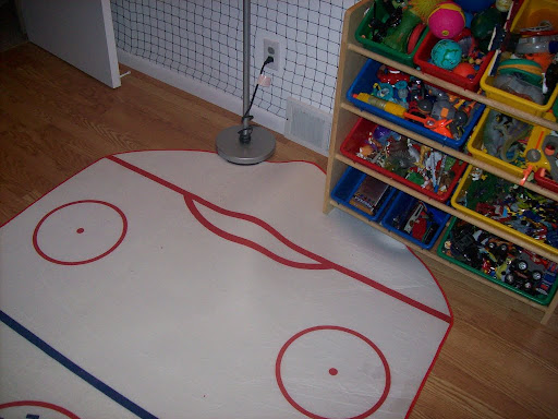 hockey rink rug