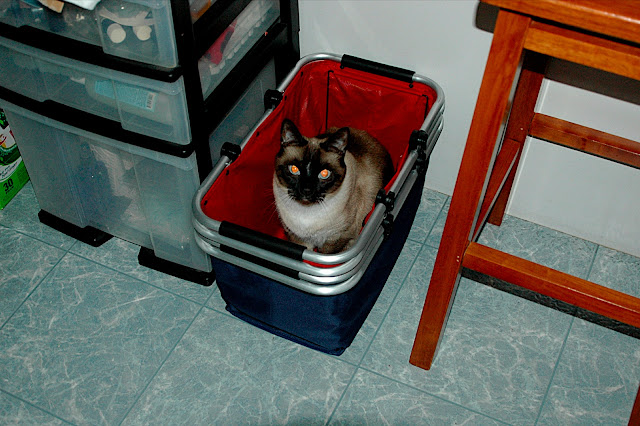 DSC_9046.JPG