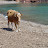 DSC05517.JPG