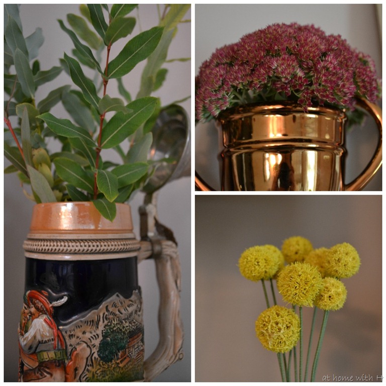 [fall12_plants_athomewithh7.jpg]