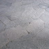 R0028020.JPG