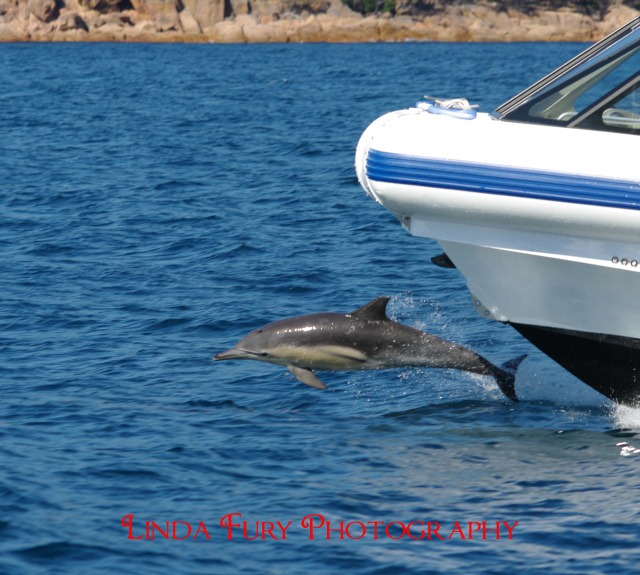 [Cruise%2520051%255B3%255D.jpg]