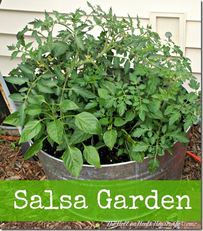 salsa garden