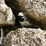 photoIMG_1087.jpg