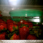 IMG_2972.jpg
