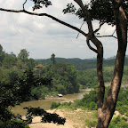 View from the canopy