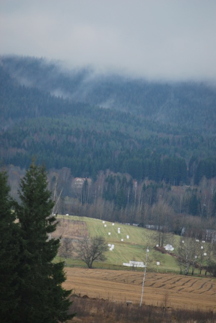 [2011-10-30%2520-%2520Hayrolls%2520and%2520Foggy%2520Hills%255B6%255D.jpg]