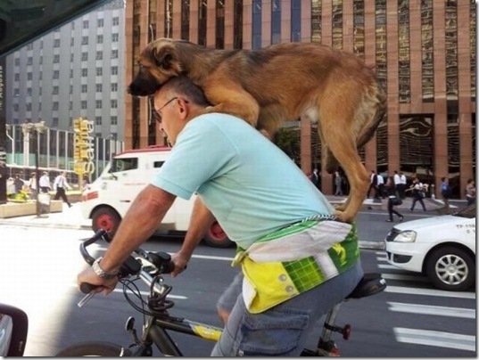 viral-picdump-pics-40