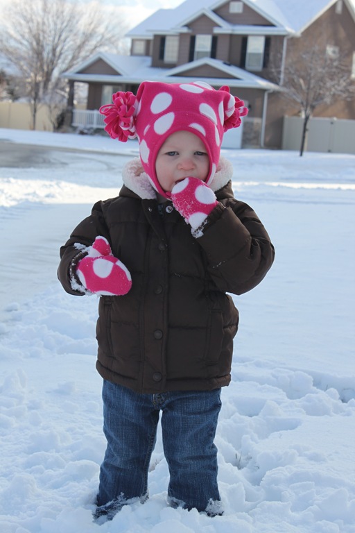 [2012-01-24%2520First%2520Snow%252025%255B4%255D.jpg]