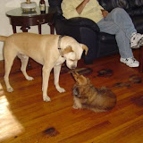 Sam and Ellie.