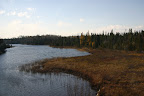Autumn grasses along a river