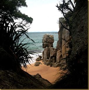 Abel Tasman Beach 2