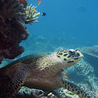 IMG_2024.JPG