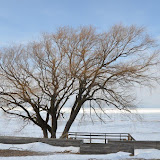 "Huron" - copyright David Thompson