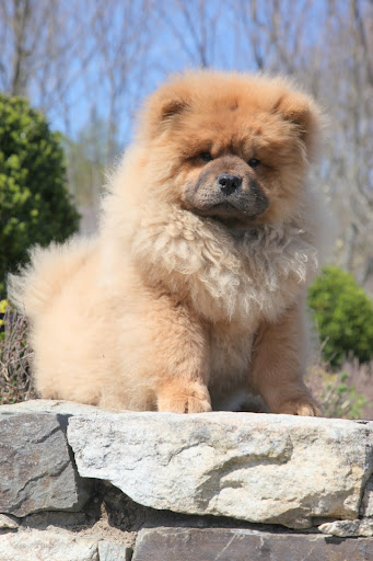 I love sitting on this stone wall - it's a great vantage point!