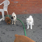 DSCN2305.jpg