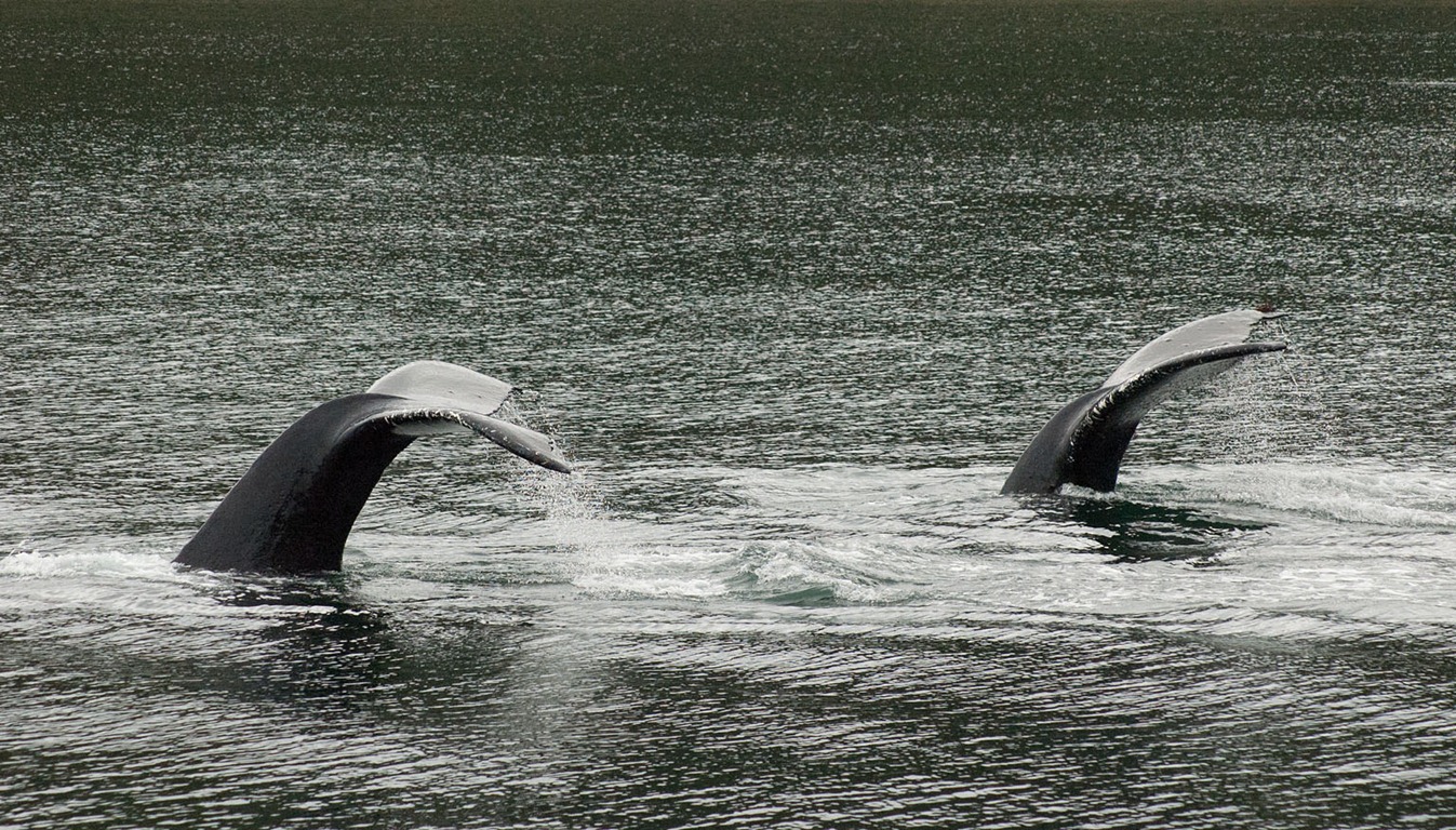 [2011-Cruise-775x%255B7%255D.jpg]
