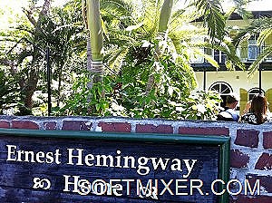 [hemingway4-300x224%5B11%5D.jpg]