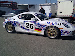 IMG_20110410_102637.jpg