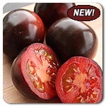 [organic-seeds-indigo-rose-tomato-new-01%255B6%255D.jpg]