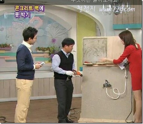 철천지IMG_2383-20120309-185254 철천지IMG_2383-20120309-185254