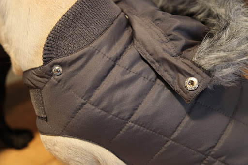And look, Franny - the hood is detachable for when you don't want to wear it!