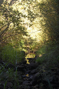 DSC_0013.jpg