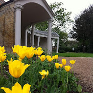 Valentines Mansion and Gardens By Christopher Bowles , Uploaded: 15 May 2012 at 20:12 