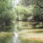 DSCN7263.JPG