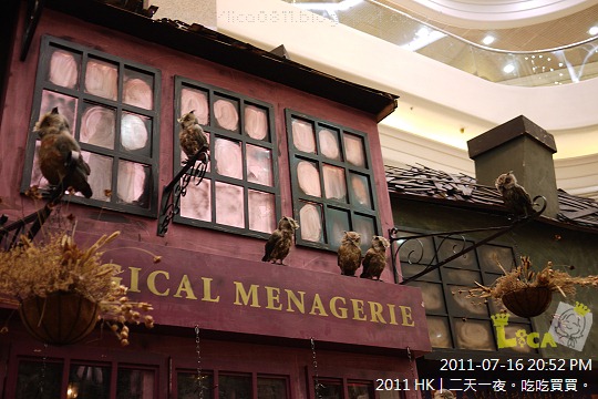 IMG_2593 IMG_2593