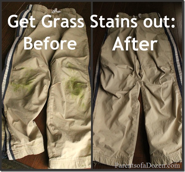 Get Grass Stains out
