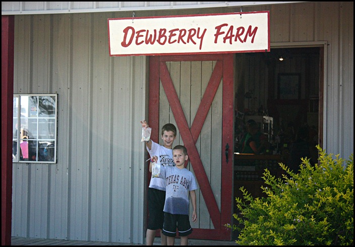 Hodge Dewberry Farm 10-8-2012 (49)