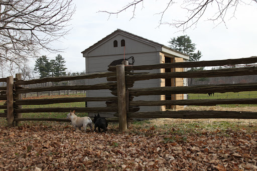 Plus, Sharkey, they have this little house where they can find shelter from falling rain and snow!