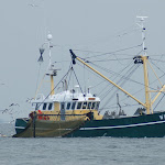 DSC01413.JPG - 11.06.2013; Statek łowiacy kraby na Waddenzee