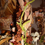 1514-7.JPG