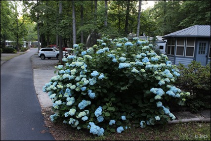 Paradise Valley Rv park, Cleveland GA