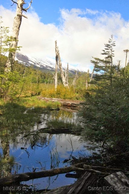 [IMG_2820%255B6%255D.jpg]