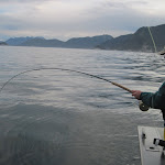Supplee2011 Photo Gallery