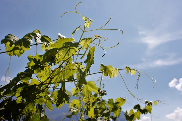 IMG_0180 IMG_0180
