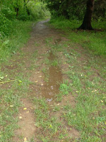 HPIM1316.JPG Photo