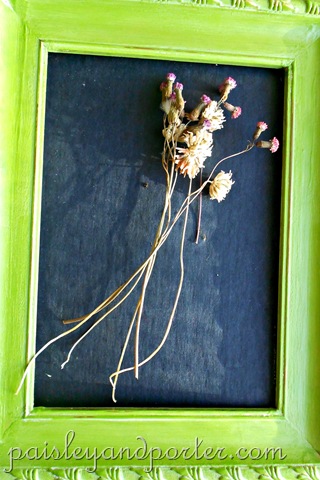 [DSCN1823-1%255B2%255D.jpg]